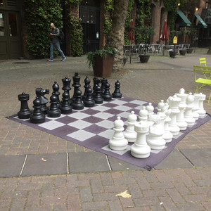 17847798784088013.jpg