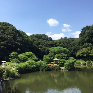 17875896295005740.jpg
