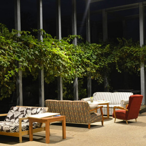 17896874173076067.jpg