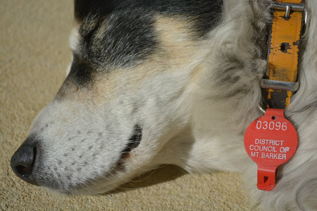 17908593169061683.jpg
